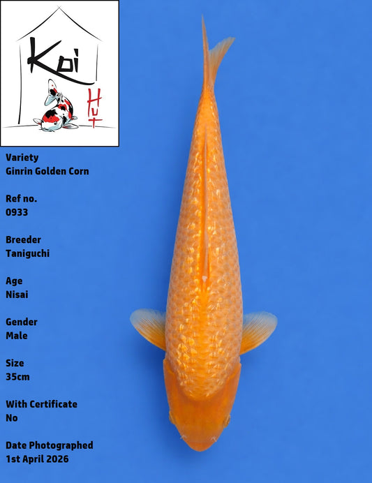 0933 - Ginrin Golden Corn [Taniguchi]