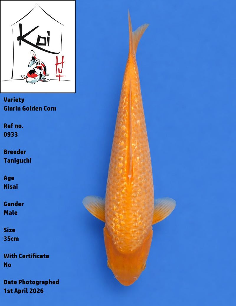 0933 - Ginrin Golden Corn [Taniguchi]