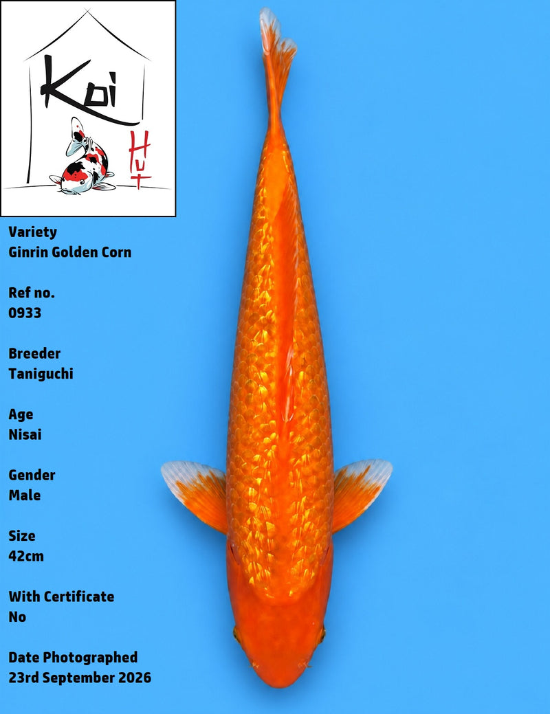 0933 - Ginrin Golden Corn [Taniguchi]