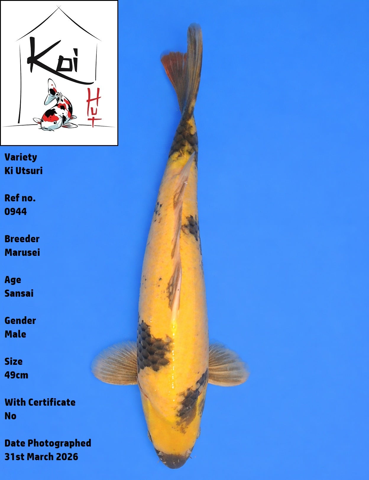 0944 - Ki Utsuri [Marusei]