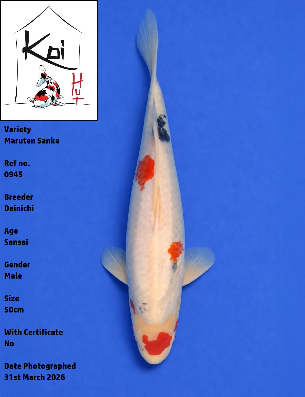0945 - Maruten Sanke [Dainichi]