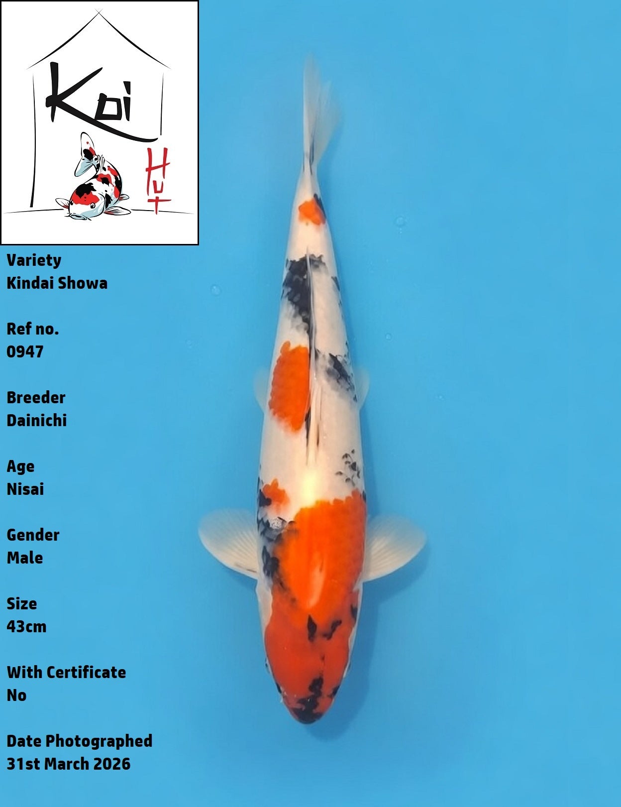 0947 - Kindai Showa [Dainichi]