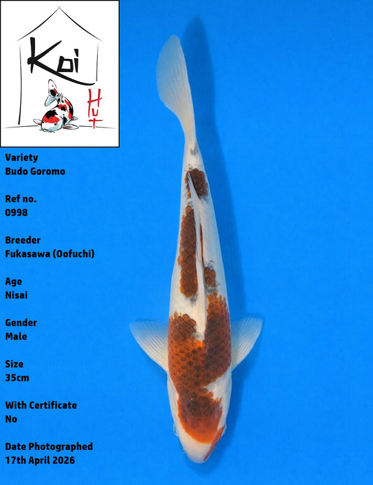 0998 - Budo Goromo [Fukasawa]