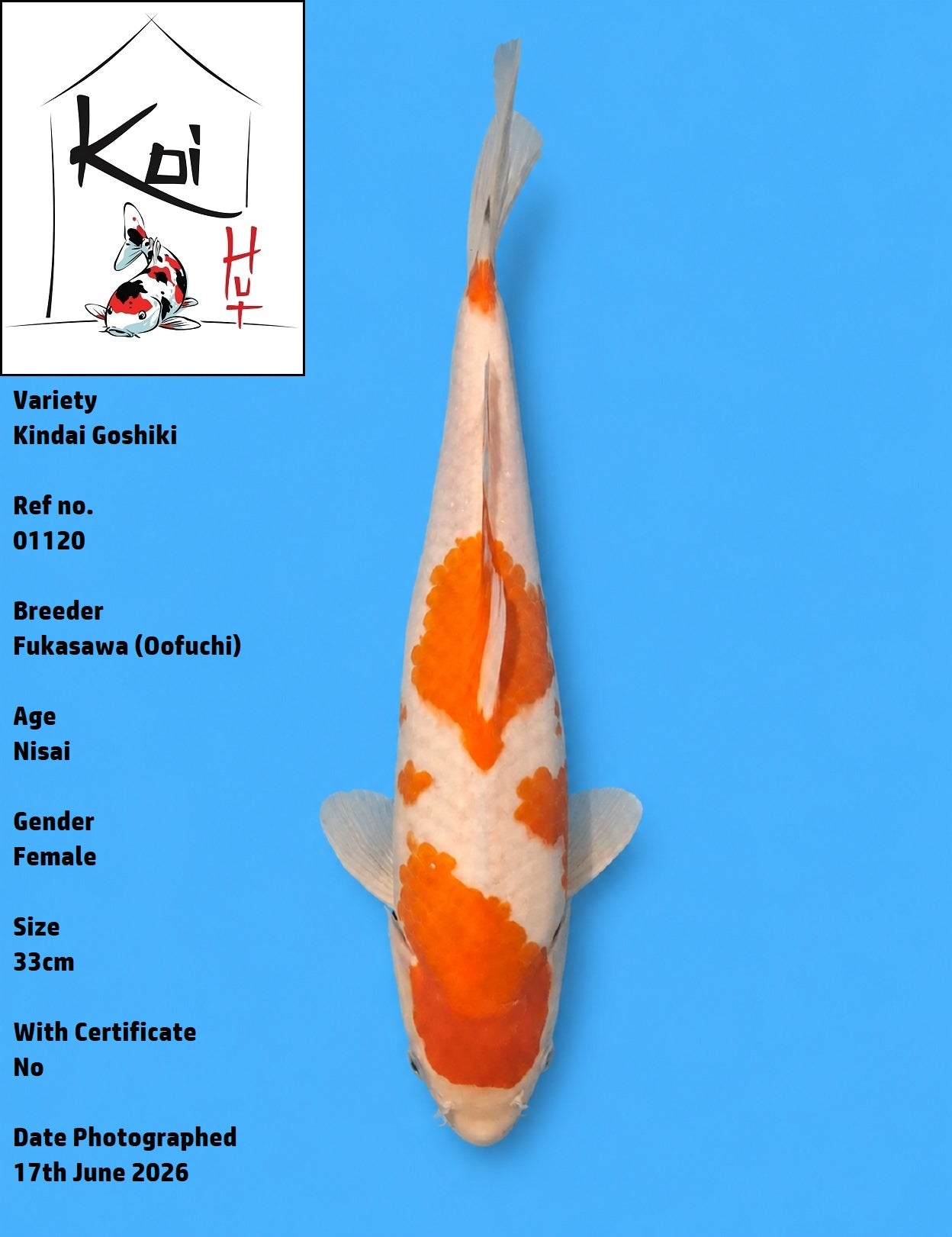 01120 - Kindai Goshiki [Fukasawa]