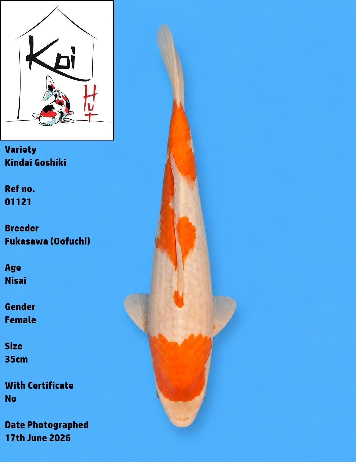 01121 - Kindai Goshiki [Fukasawa]