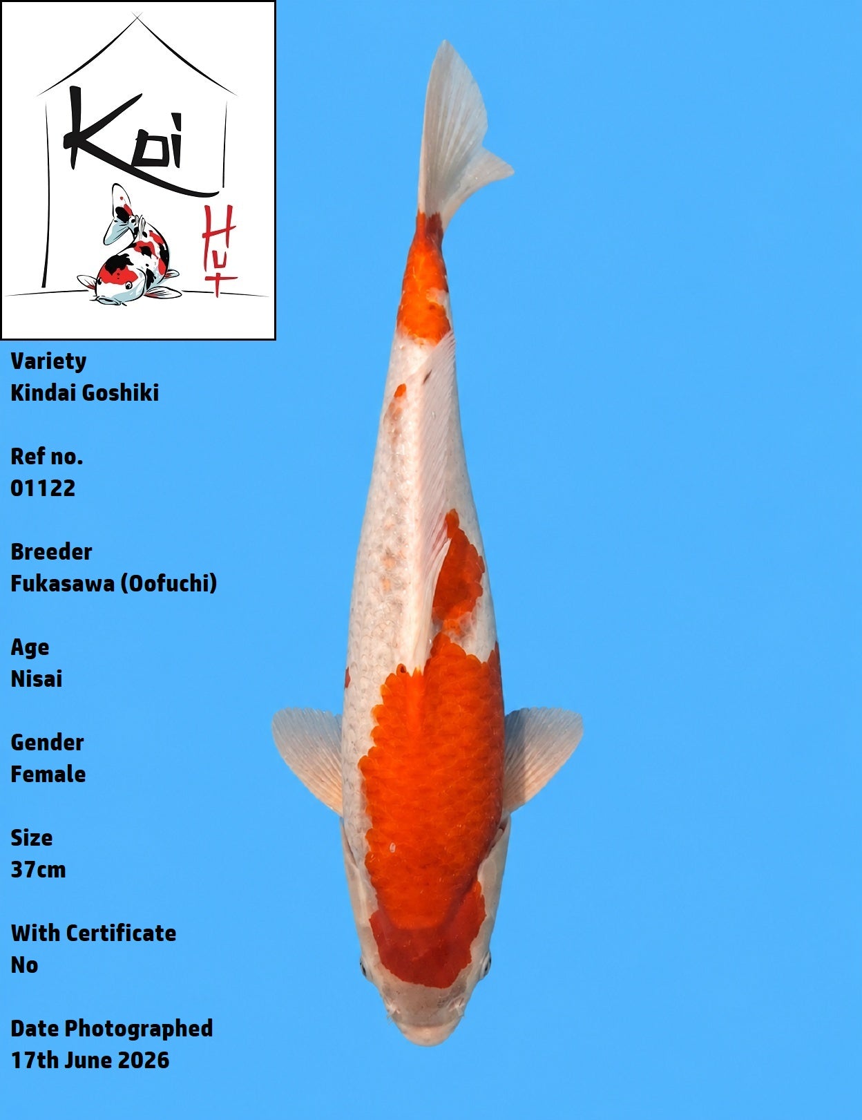 01122 - Kindai Goshiki [Fukasawa]