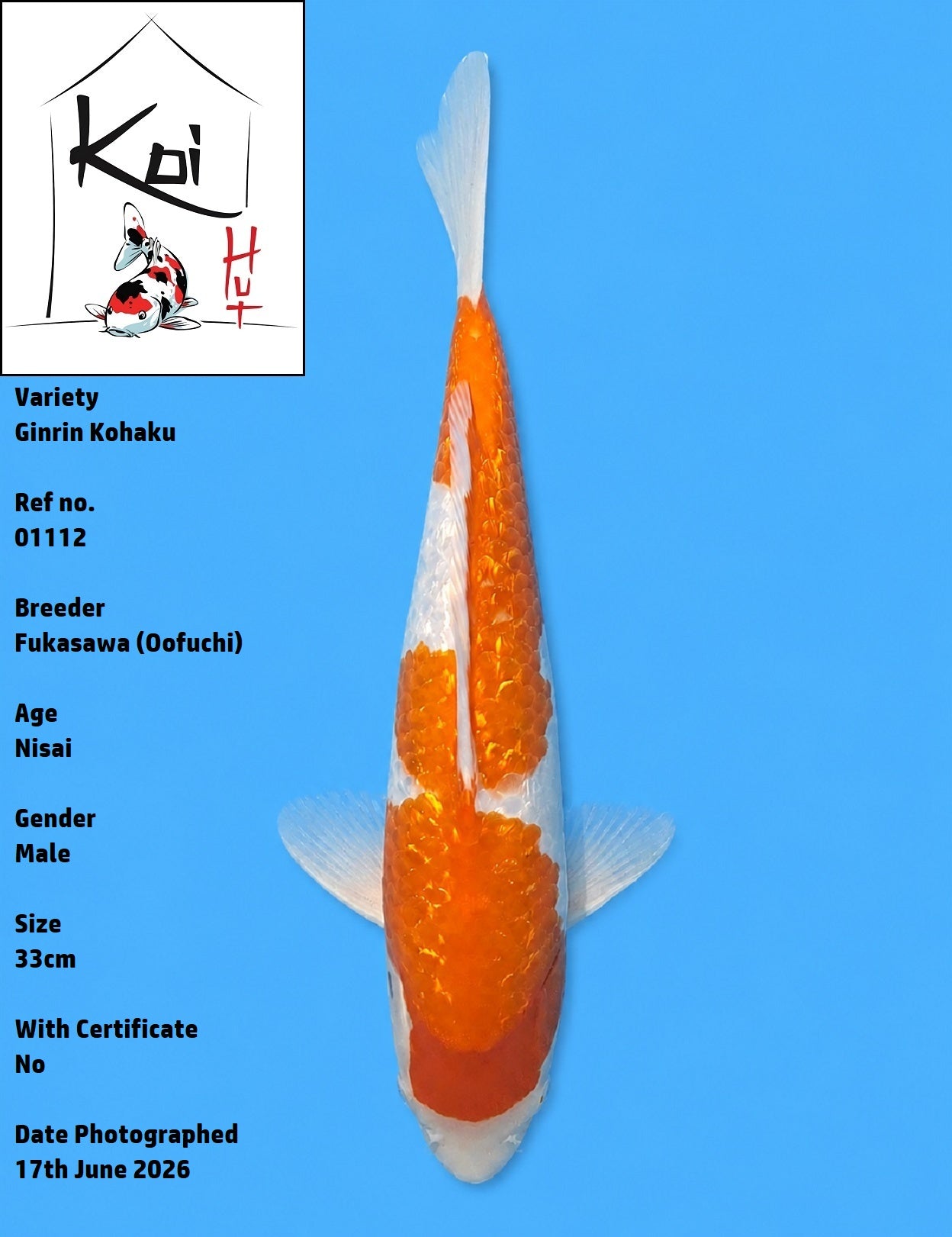 01112 - Ginrin Kohaku [Fukasawa]