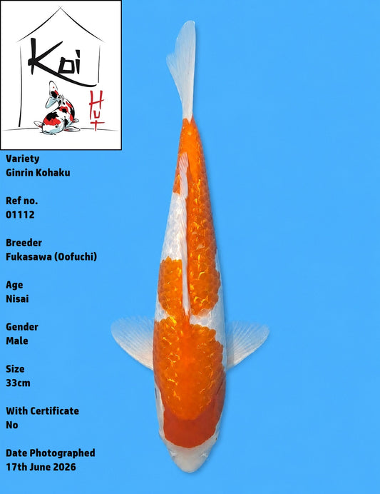 01112 - Ginrin Kohaku [Fukasawa]