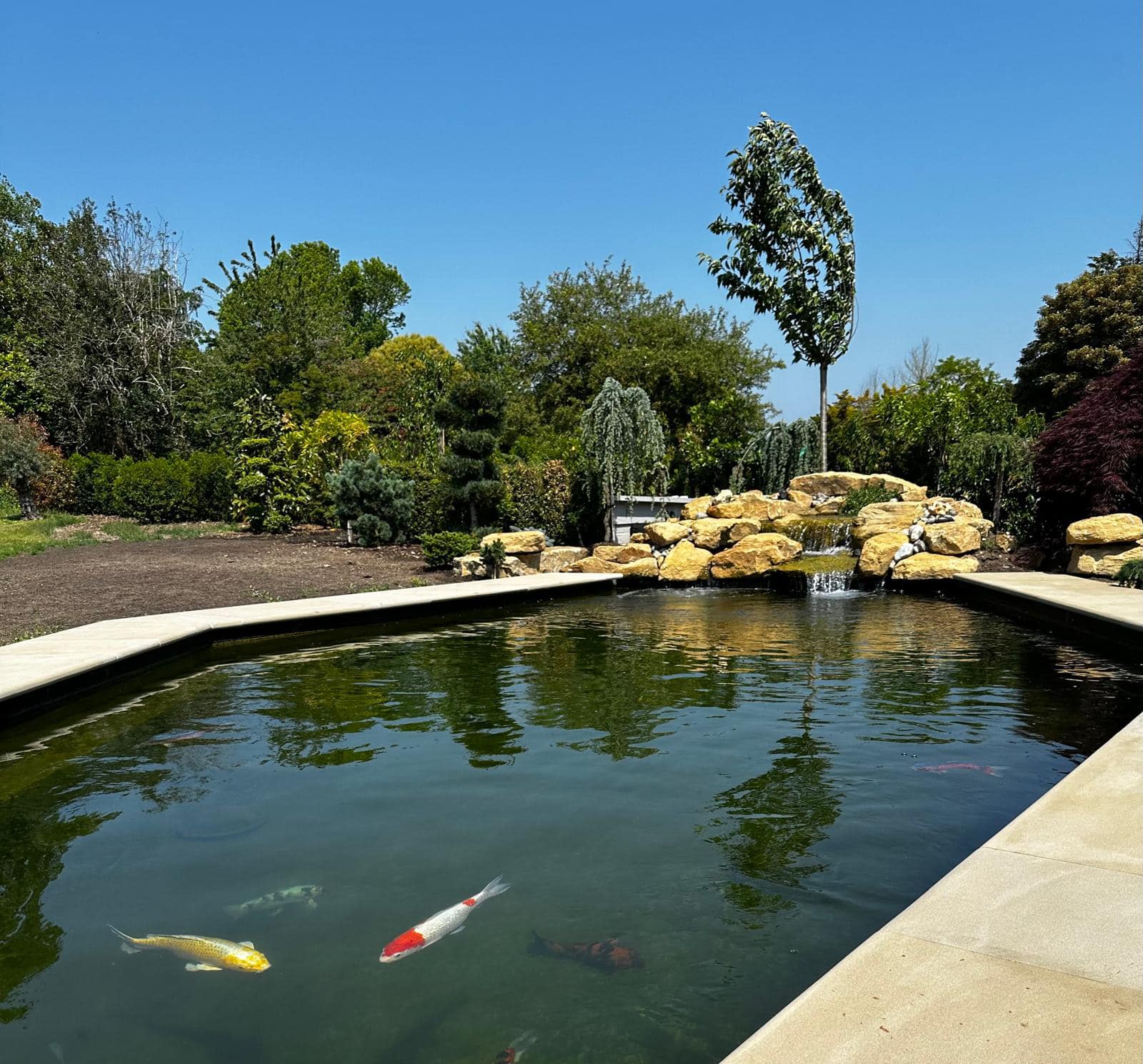Ground level hexagonal pond with capping stones
