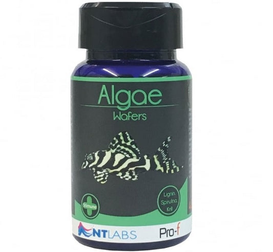 NT Labs Pro-F Algae Wafers