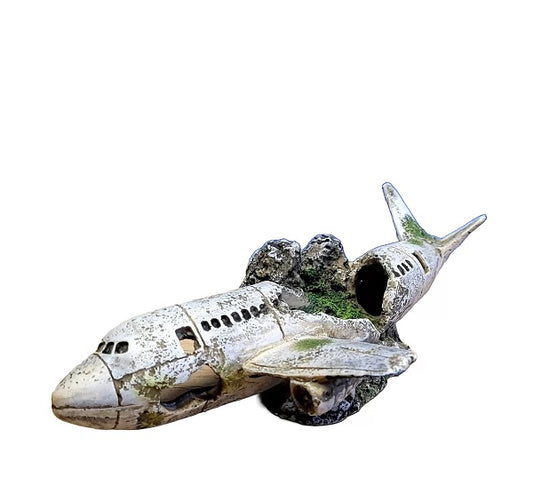 Classic Plane Wreckage