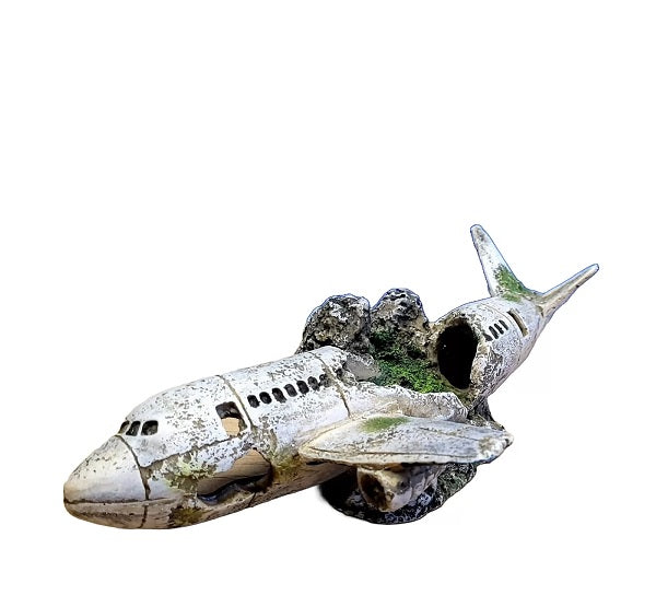 Classic Plane Wreckage