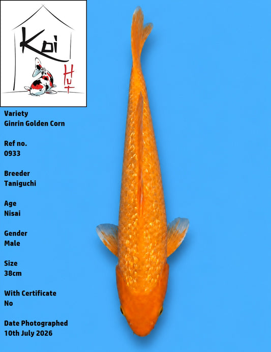0933 - Ginrin Golden Corn [Taniguchi]