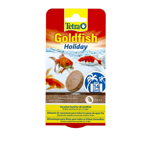 Tetra Goldfish Holiday