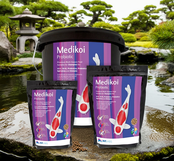 Medikoi Probiotic