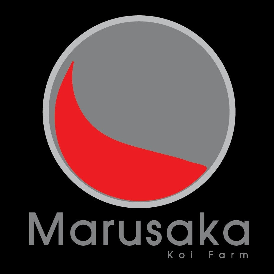 0185 - Aya Wakaba Midorigoi [Marusaka]