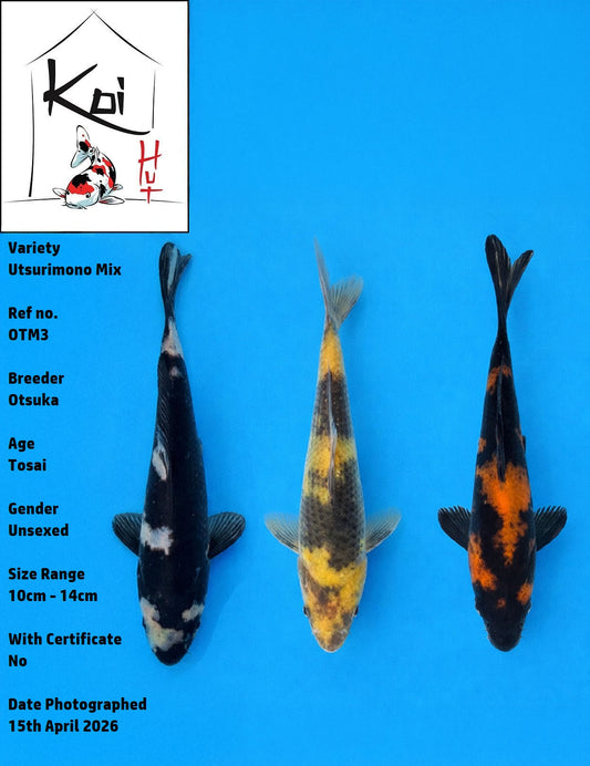 OTM3 - Utsurimono Mix [Otsuka]