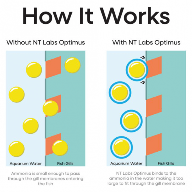 NT Labs Optimus