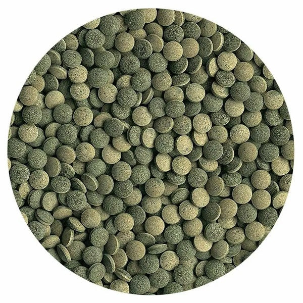 Tetra Pleco Tablets