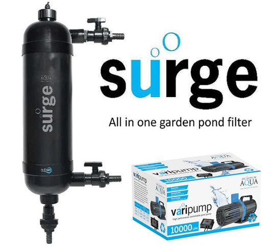 Evolution Aqua Surge Filter & Varipump 10000 Bundle