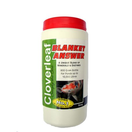 Cloverleaf Blanket Answer